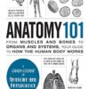 Anatomy 101: From Muscles and Bones to Organs and Systems, Your Guide to How the Human Body Works