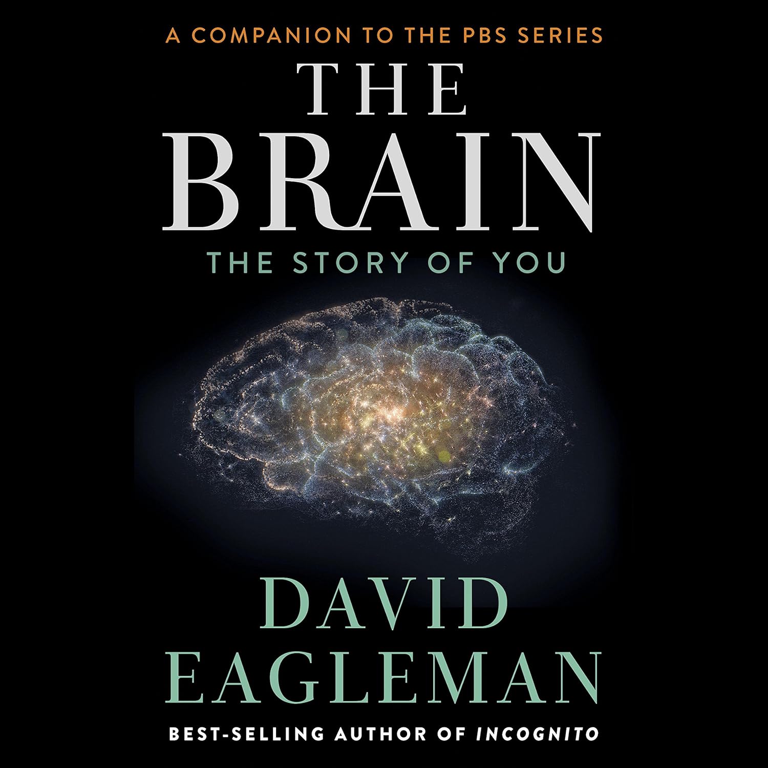 The Brain: The Story of You