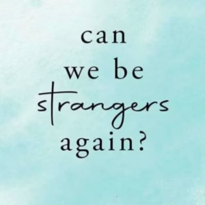 Can We be Strangers Again? Book by Shrijeet Shandilya