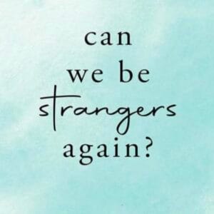 Can We be Strangers Again? Book by Shrijeet Shandilya