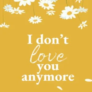 I Don’t Love You Anymore — Rithvik Singh