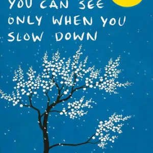 The Things You Can See Only When You Slow Down — Haemin Sunim