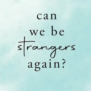 Can We Be Strangers Again? — Shrijeet Shandilya